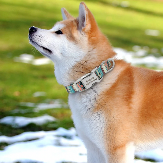 PawPrint PersonalizeCollar: Engraved Nylon Dog Collar