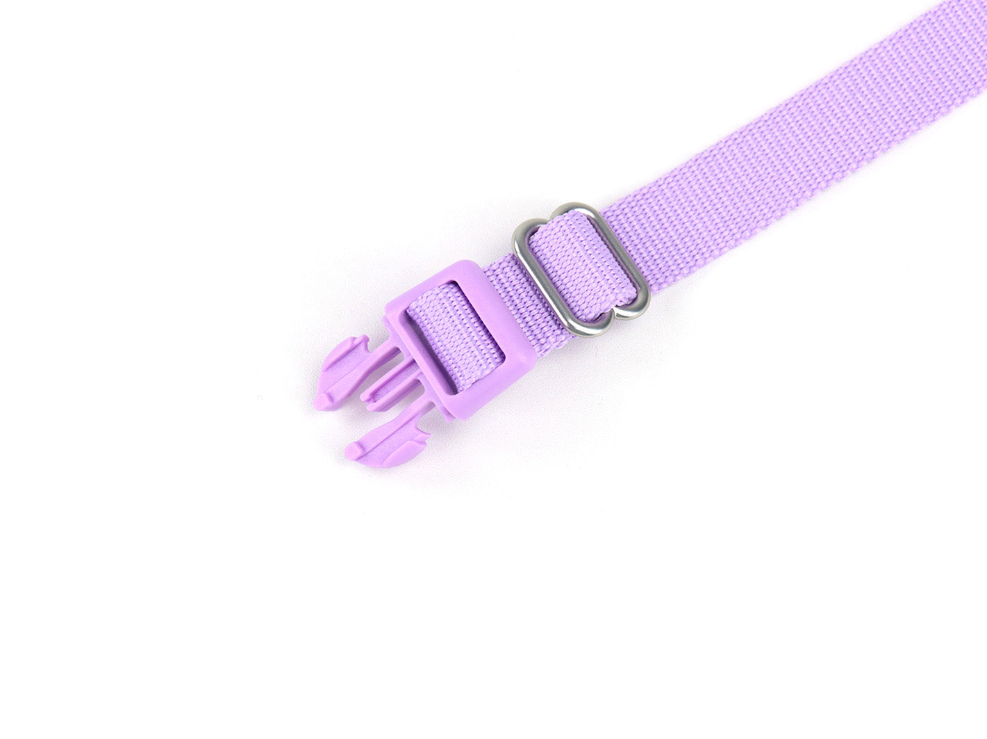 Lilac Dog Collar